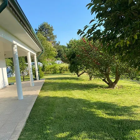 Quinta Da Caselinha * 帕雷迪什迪科拉